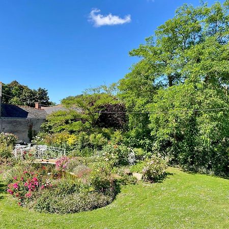 Chambre De Charme Dans Un Jardin De 1500M2 Nueil-sur-Layon Exterior foto